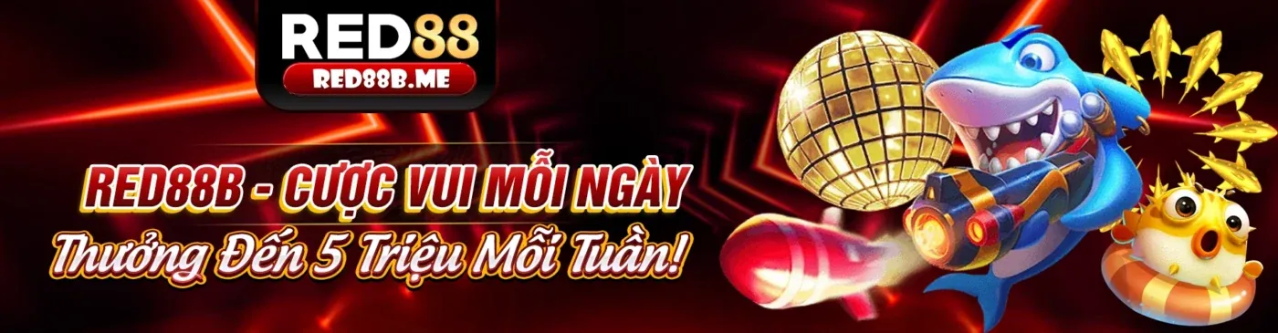 Đội ngũ s8bet và tầm nhìn phát triển